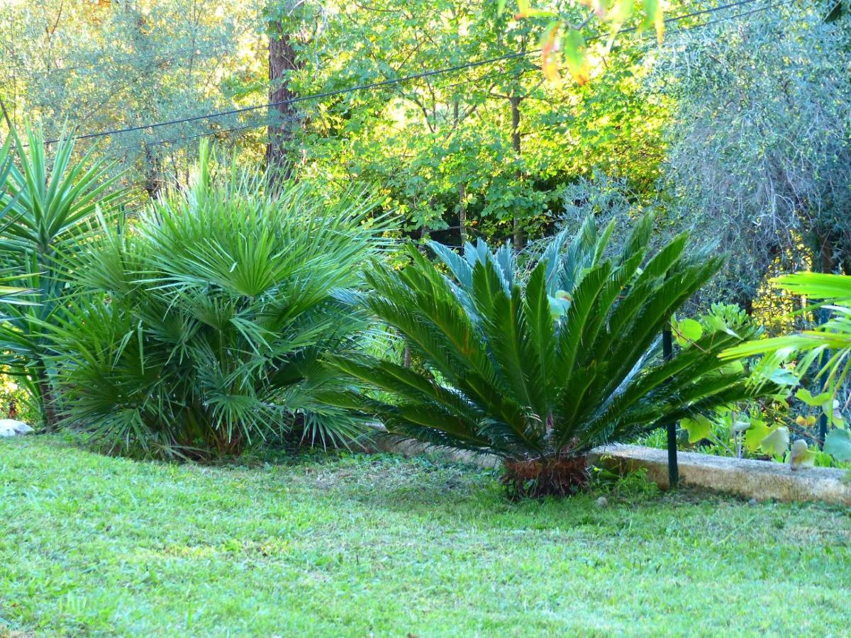 Bed and Breakfast O Tilia D'Azur Roquefort-les-Pins Zewnętrze zdjęcie